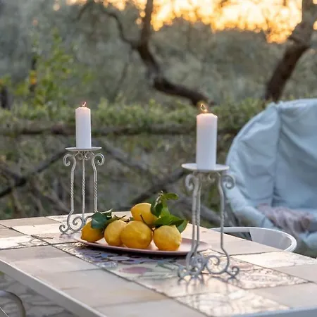 Villa Spacious With Garden&spa Sorrento